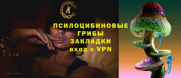 тгк Пестово