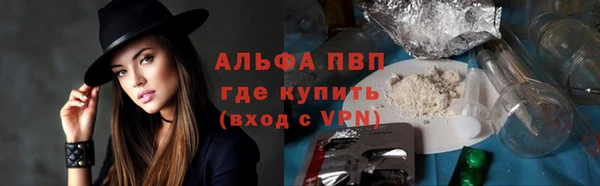 тгк Пестово