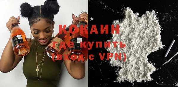 молекула духа Осинники