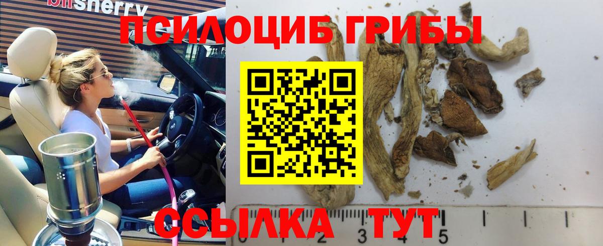 Галлюциногенные грибы Magic Shrooms  Псилоцибиновые грибы GOLDEN TEACHER  Вход с VPN  Когалым 
