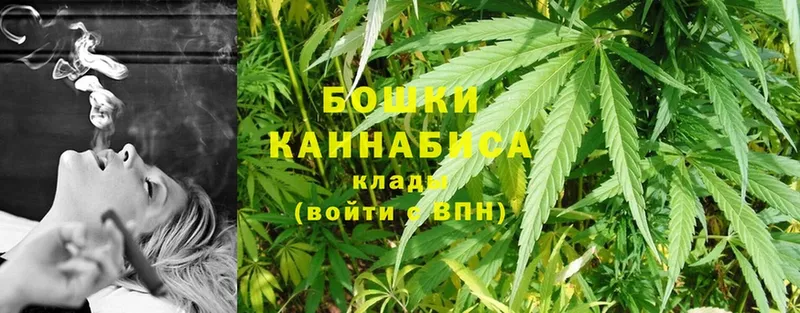 Бошки Шишки OG Kush  Когалым 